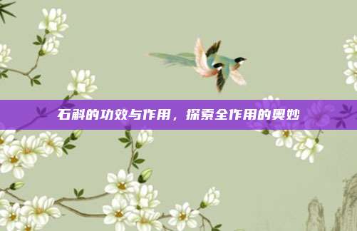 石斛的功效与作用，探索全作用的奥妙