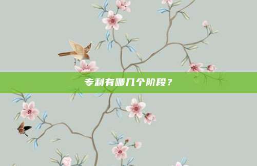 专利有哪几个阶段？
