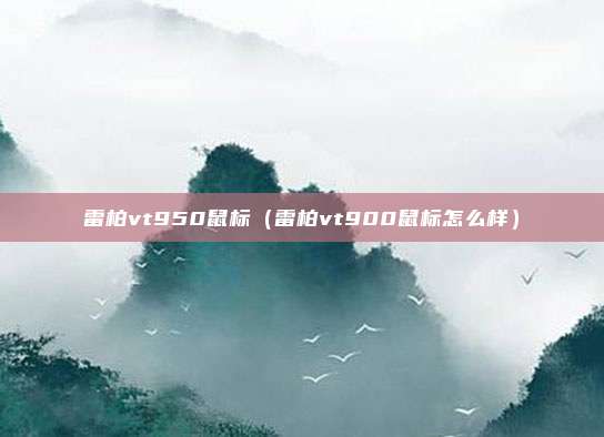 雷柏vt950鼠标（雷柏vt900鼠标怎么样）