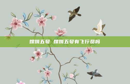 嫦娥五号 嫦娥五号有飞行员吗