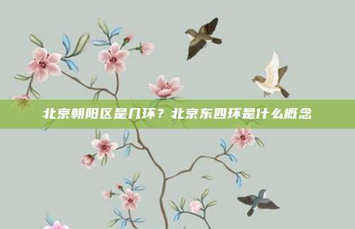 北京朝阳区是几环?北京东四环是什么概念