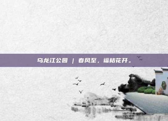 乌龙江公园 | 春风至，福桔花开。