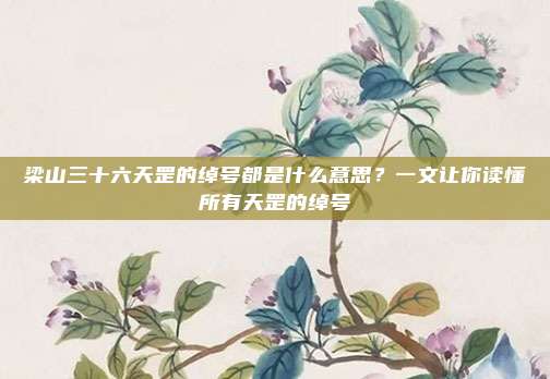 梁山三十六天罡的绰号都是什么意思？一文让你读懂所有天罡的绰号