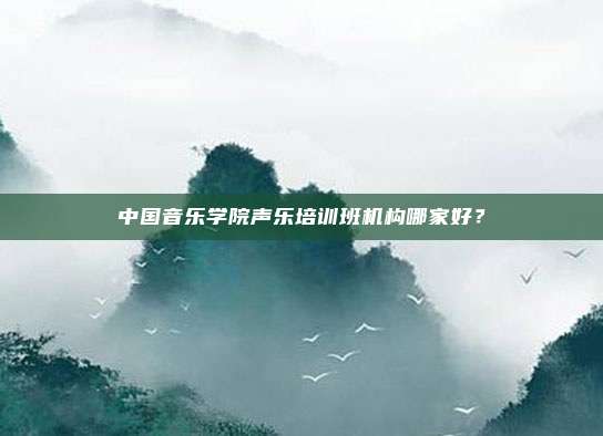 中国音乐学院声乐培训班机构哪家好？