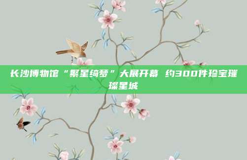 长沙博物馆“繁星绮梦”大展开幕 约300件珍宝璀璨星城