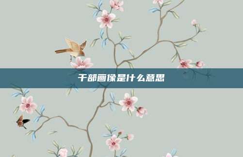 干部画像是什么意思