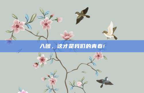 入团，这才是我们的青春!
