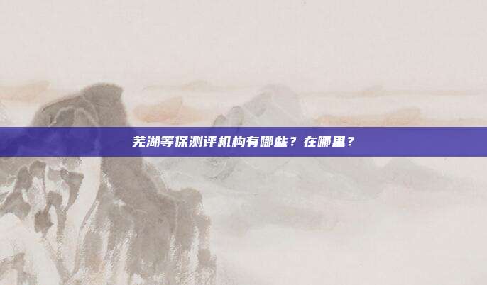 芜湖等保测评机构有哪些？在哪里？