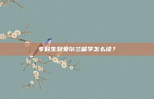 专科生到爱尔兰留学怎么读？
