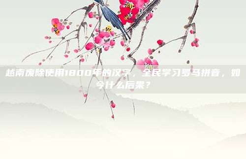 越南废除使用1800年的汉字，全民学习罗马拼音，如今什么后果？