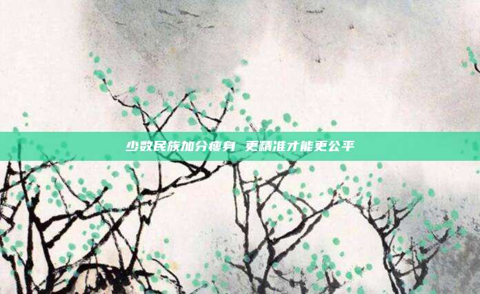 少数民族加分瘦身 更精准才能更公平