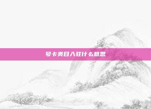 号卡类目入驻什么意思