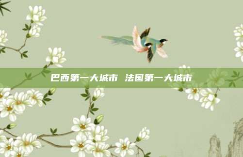 巴西第一大城市 法国第一大城市