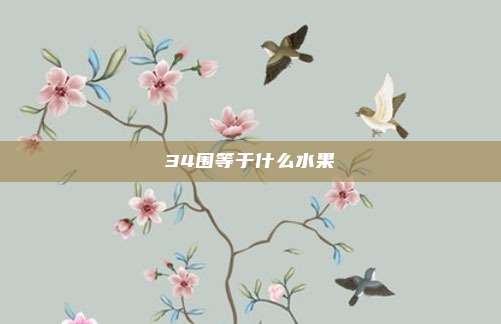 34围等于什么水果
