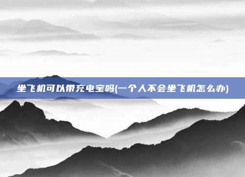 坐飞机可以带充电宝吗(一个人不会坐飞机怎么办)