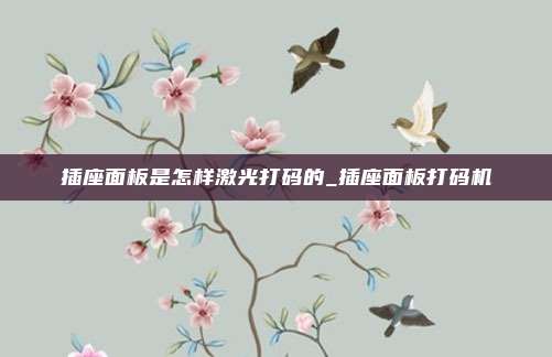 插座面板是怎样激光打码的_插座面板打码机