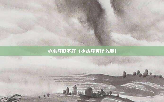 小木耳好不好（小木耳有什么用）