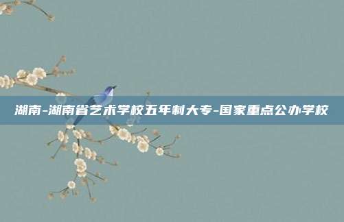 湖南-湖南省艺术学校五年制大专-国家重点公办学校