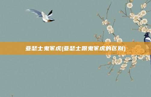 亚瑟士鬼冢虎(亚瑟士跟鬼冢虎的区别)
