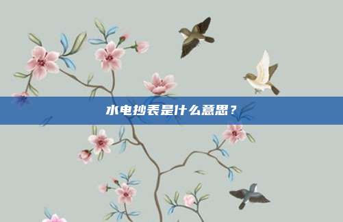 水电抄表是什么意思？