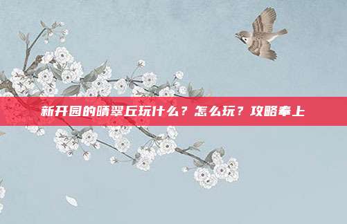 新开园的晴翠丘玩什么？怎么玩？攻略奉上→