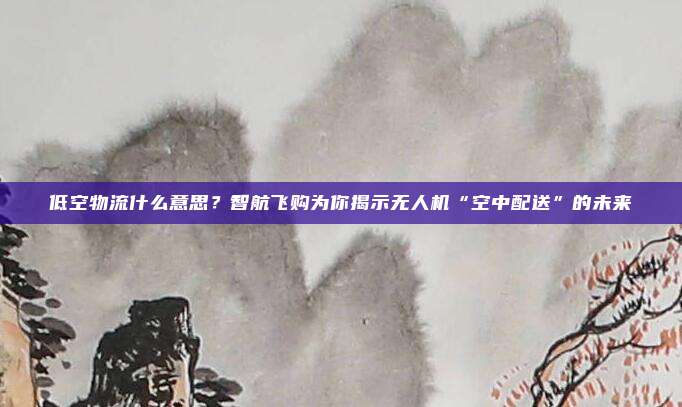 低空物流什么意思？智航飞购为你揭示无人机“空中配送”的未来
