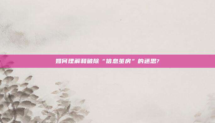 如何理解和破除“信息茧房”的迷思?