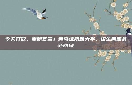 今天开放，重磅官宣！青岛这所新大学，招生问题最新明确→