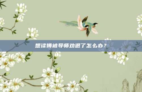 想读博被导师劝退了怎么办？
