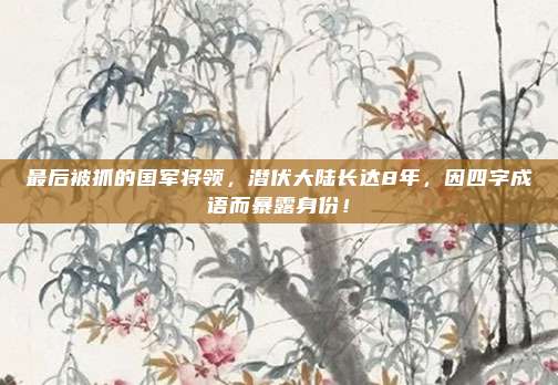 最后被抓的国军将领，潜伏大陆长达8年，因四字成语而暴露身份！