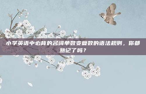 小学英语中必背的名词单数变复数的语法规则，你都熟记了吗？