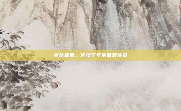 宣化葡萄：延续千年的葡萄传奇