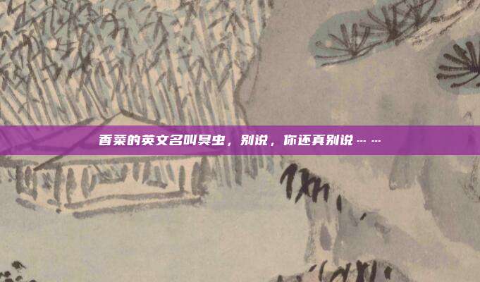 香菜的英文名叫臭虫，别说，你还真别说……