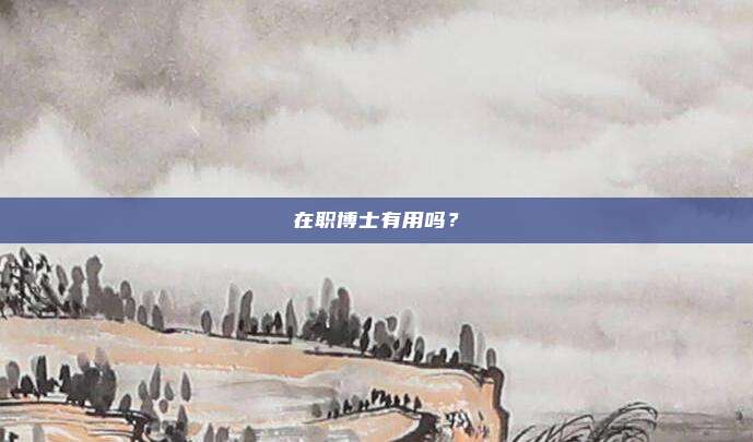 在职博士有用吗？