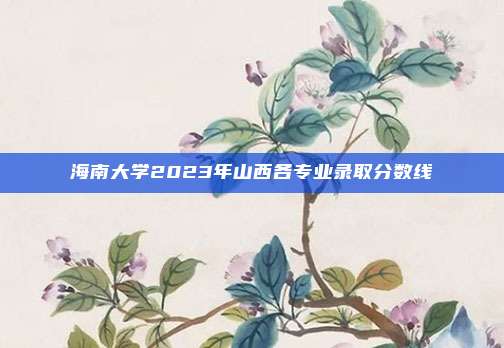 海南大学2023年山西各专业录取分数线