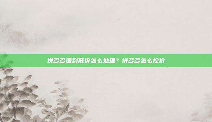 拼多多遇到低价怎么处理？拼多多怎么控价