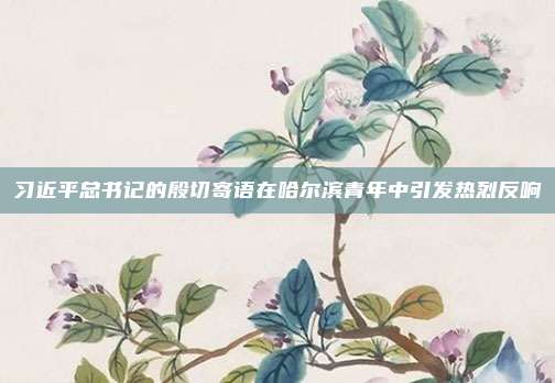 习近平总书记的殷切寄语在哈尔滨青年中引发热烈反响