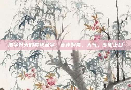 浩字开头的男孩名字，音律响亮、大气，郎朗上口
