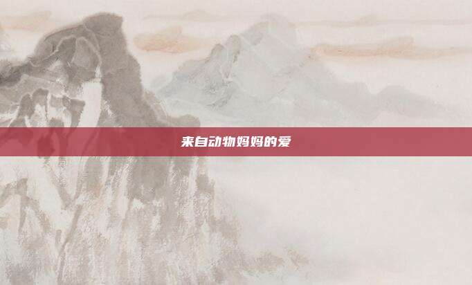 来自动物妈妈的爱