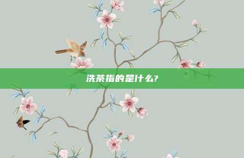 洗茶指的是什么?