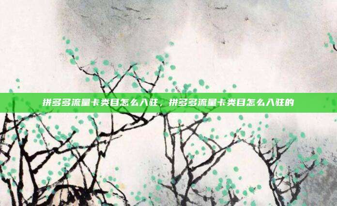 拼多多流量卡类目怎么入驻，拼多多流量卡类目怎么入驻的