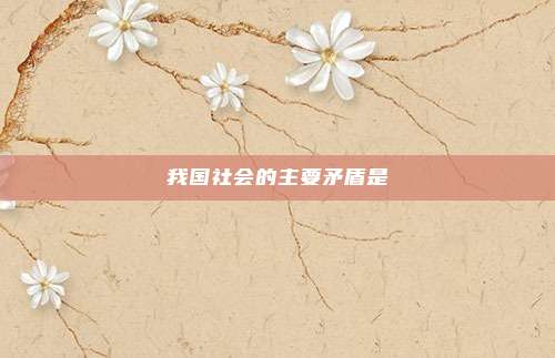 我国社会的主要矛盾是