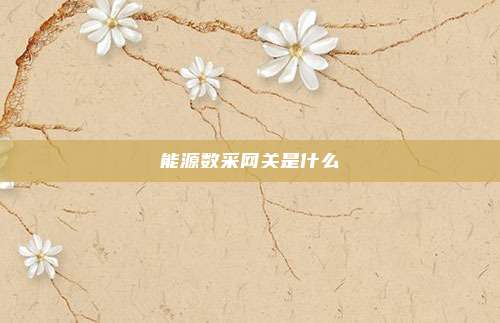 能源数采网关是什么