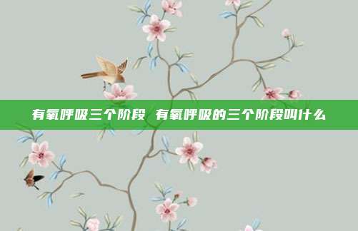 有氧呼吸三个阶段 有氧呼吸的三个阶段叫什么