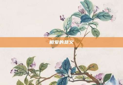相爱的意义