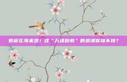 紫藤花海来袭！这“万绦粉紫”的浪漫你接不接？