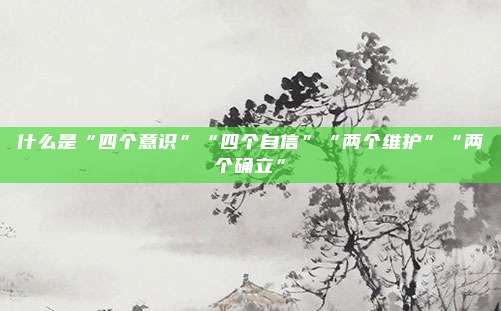 什么是“四个意识”“四个自信”“两个维护”“两个确立”