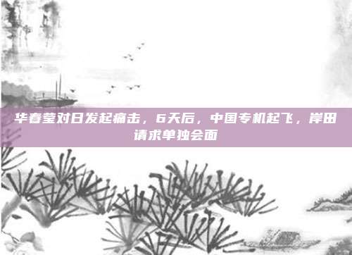 华春莹对日发起痛击，6天后，中国专机起飞，岸田请求单独会面
