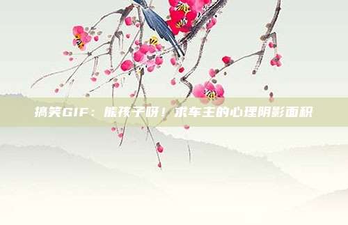 搞笑GIF：熊孩子呀！求车主的心理阴影面积