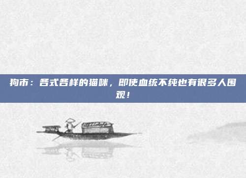 狗市：各式各样的猫咪，即使血统不纯也有很多人围观！